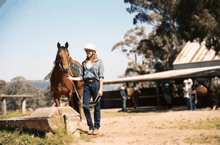 Watsons Trail Rides - Tweed Heads Accommodation
