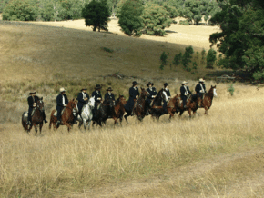 McCormacks Mountain Valley Trail Rides - Tweed Heads Accommodation