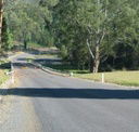 Mirimbah Picnic Ground - Tweed Heads Accommodation