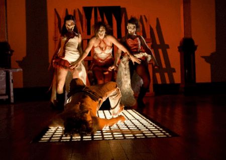 Zen Zen Zo Physical Theatre - Tweed Heads Accommodation 1