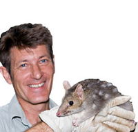 Geckoes Wildlife Presentations - Tweed Heads Accommodation