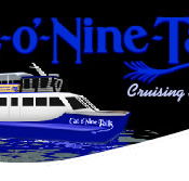 Cat O' NineTails - Tweed Heads Accommodation
