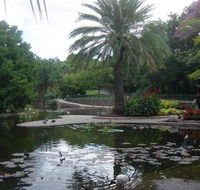 Brisbane City Botanic Gardens - Tweed Heads Accommodation