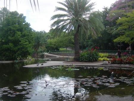 Brisbane City Botanic Gardens - Tweed Heads Accommodation 0