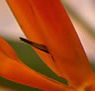 Zen Day Spa - Tweed Heads Accommodation