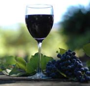 Lion Mill Vineyards - Tweed Heads Accommodation