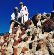 Mystery Craters - Tweed Heads Accommodation 2