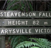 Stevensons Falls - Tweed Heads Accommodation
