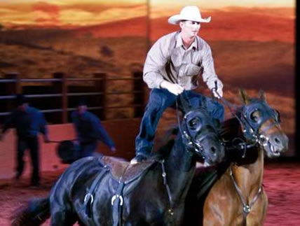 Australian Outback Spectacular - Tweed Heads Accommodation 1