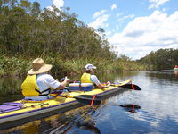 Kanu Kapers - Tweed Heads Accommodation 3