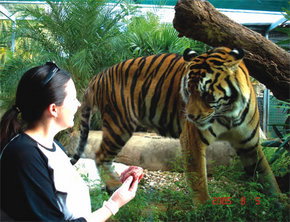 Crocodylus Park - Tweed Heads Accommodation 1