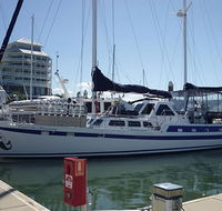 Coral Sea Dreaming Dive and Sail - Tweed Heads Accommodation