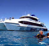 Silver Swift - Tweed Heads Accommodation