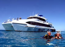 Silver Swift - Tweed Heads Accommodation 0