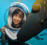 Sunlover Reef Cruises - Tweed Heads Accommodation