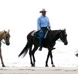 Ride the Beach - Tweed Heads Accommodation