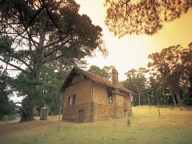Heysen - The Cedars - Tweed Heads Accommodation 0