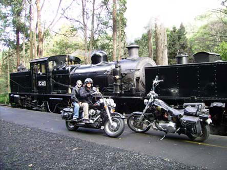 Andy's Harley Rides - Tweed Heads Accommodation 0