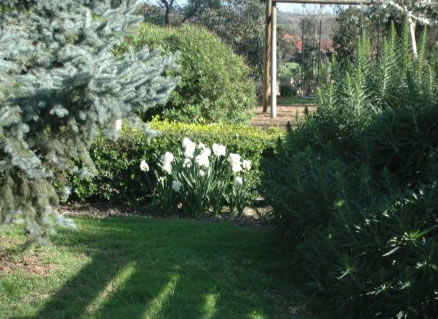The Old Cheese Factory - Tweed Heads Accommodation 2