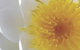 Crown Spa - thumb 2