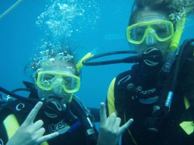 Snorkel Safari Brisbane - Tweed Heads Accommodation 5
