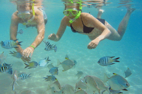 Australian Kayaking Adventures - Tweed Heads Accommodation 2