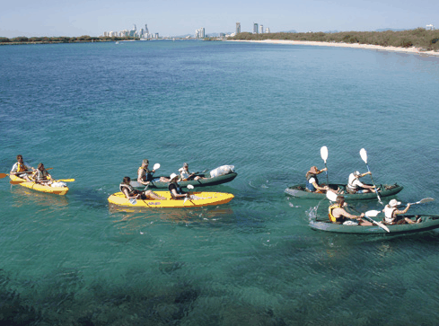 Australian Kayaking Adventures - Tweed Heads Accommodation 4