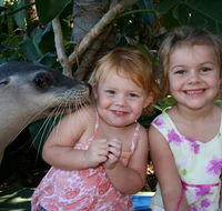 Dolphin Marine Magic - Tweed Heads Accommodation