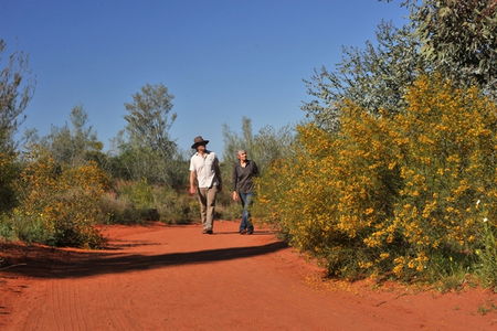 Alice Springs Desert Park - Tweed Heads Accommodation 3