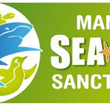 Manly SEA LIFE Sanctuary - Tweed Heads Accommodation