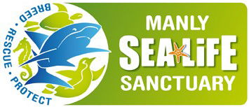 Manly SEA LIFE Sanctuary - Tweed Heads Accommodation 0