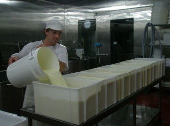 Witches Chase Cheese Co - Tweed Heads Accommodation 1