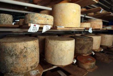 Witches Chase Cheese Co - Tweed Heads Accommodation 3