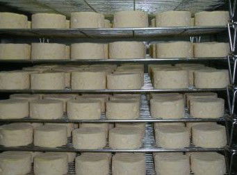 Witches Chase Cheese Co - Tweed Heads Accommodation 5