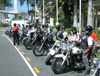 Wildfire Tours - Tweed Heads Accommodation 1