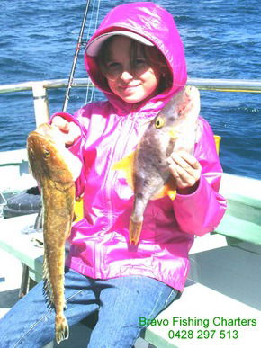 Bravo Fishing Charters - Tweed Heads Accommodation 5