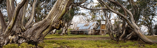 High Country Scenic Tours - Tweed Heads Accommodation