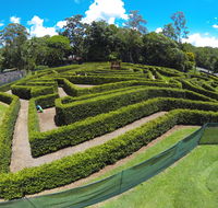 Bellingham Maze - Tweed Heads Accommodation