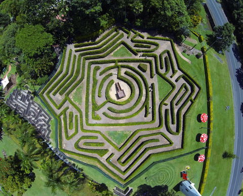 Bellingham Maze - Tweed Heads Accommodation 1