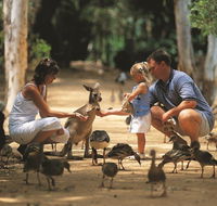 Billabong Sanctuary - Tweed Heads Accommodation