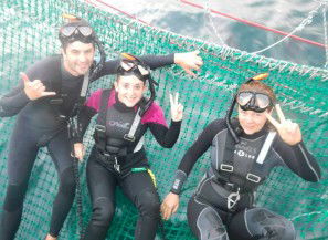 Dolphin Swim Australia - Tweed Heads Accommodation 7