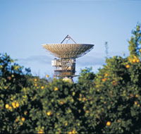 Big Dish - Tweed Heads Accommodation
