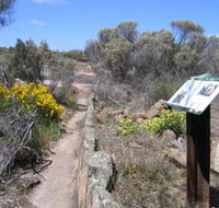 Christmas Rock Walk - Tweed Heads Accommodation