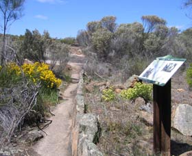 Christmas Rock Walk - Tweed Heads Accommodation 0