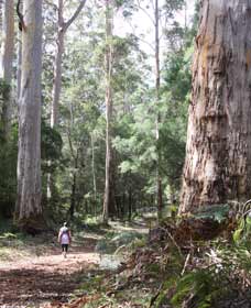  Tweed Heads Accommodation