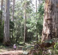 Warren River Loop Walk - Tweed Heads Accommodation