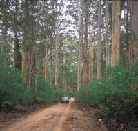 Boranup Drive - Tweed Heads Accommodation