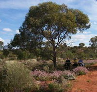 Karlkurla Bushland Park - Tweed Heads Accommodation