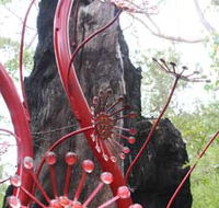 Understory Art In Nature - Tweed Heads Accommodation
