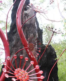 Understory Art In Nature - Tweed Heads Accommodation 0